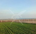 Продава ПАРЦЕЛ, област Бургас, с. Лозенец • 65000 € / 127128.95 лв. • 93833957 1 — Holmes.bg Продава ПАРЦЕЛ, област Бургас, с. Лозенец • 65000 € / 127128.95 лв. • 93833957 1