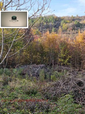 ПАРЦЕЛ, 530 m2 - Holmes.bg ПАРЦЕЛ, 530 m2