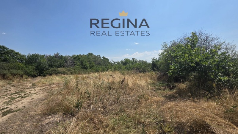 Продава ПАРЦЕЛ, област Пловдив, с. Красново • 44600 € • 54394696 1 — Holmes.bg Продава ПАРЦЕЛ, област Пловдив, с. Красново • 44600 € • 54394696 1