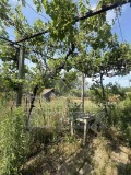 Продава Парцел област Пловдив , с. Отец Паисиево , 1100 кв.м | 40778859 — Imoti.com Продава Парцел област Пловдив , с. Отец Паисиево , 1100 кв.м | 40778859