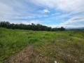 Продава Парцел област Ловеч , с. Патрешко , 10869 кв.м | 43574613 — Imoti.com Продава Парцел област Ловеч , с. Патрешко , 10869 кв.м | 43574613