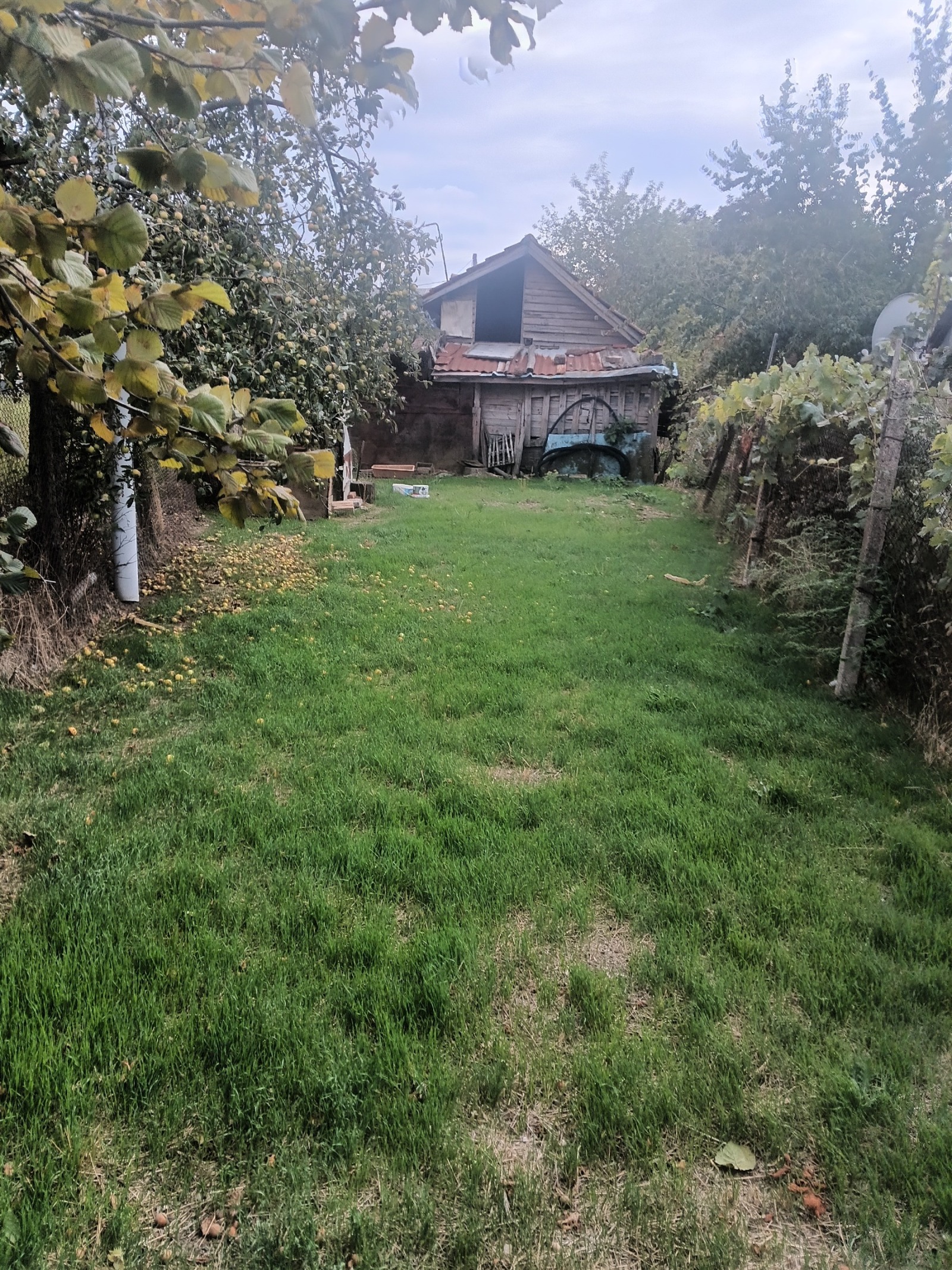 Продава Къща област Разград , с. Просторно , 45 кв.м | 66872288 — Imoti.com Продава Къща област Разград , с. Просторно , 45 кв.м | 66872288