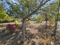 Продава КЪЩА, област Варна, с. Климентово • 94000 € / 183848.02 лв. • 58123535 2 — Holmes.bg Продава КЪЩА, област Варна, с. Климентово • 94000 € / 183848.02 лв. • 58123535 2