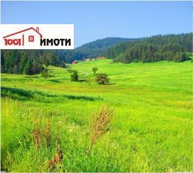 Продажба на земеделски земи в област Добрич - изображение 1 