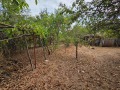 Продава КЪЩА, област София, с. Осоица • 180000 € • 71882572 9 — Holmes.bg Продава КЪЩА, област София, с. Осоица • 180000 € • 71882572 9