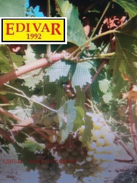 Снимка Продава ПАРЦЕЛ