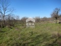 Продава ПАРЦЕЛ, област Варна, с. Кривня • 14900 € / 29141.87 лв. • 37828600 4 — Holmes.bg Продава ПАРЦЕЛ, област Варна, с. Кривня • 14900 € / 29141.87 лв. • 37828600 4