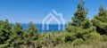 Продава ПАРЦЕЛ, Гърция, Халкидики • 300000 € / 586749.00 лв. • 73388700 6 — Holmes.bg Продава ПАРЦЕЛ, Гърция, Халкидики • 300000 € / 586749.00 лв. • 73388700 6