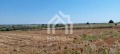 Продава ПАРЦЕЛ, Гърция, Халкидики • 300000 € / 586749.00 лв. • 73388700 8 — Holmes.bg Продава ПАРЦЕЛ, Гърция, Халкидики • 300000 € / 586749.00 лв. • 73388700 8