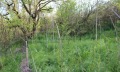 Продава ПАРЦЕЛ, област Добрич, с. Изворово • 15900 € / 31097.70 лв. • 32111032 3 — Holmes.bg Продава ПАРЦЕЛ, област Добрич, с. Изворово • 15900 € / 31097.70 лв. • 32111032 3