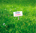 Продава Парцел област Шумен , с. Мостич , 858 кв.м | 25505723 — Imoti.com Продава Парцел област Шумен , с. Мостич , 858 кв.м | 25505723