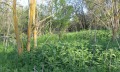 Продава ПАРЦЕЛ, област Добрич, с. Изворово • 5700 € / 11148.23 лв. • 81680399 5 — Holmes.bg Продава ПАРЦЕЛ, област Добрич, с. Изворово • 5700 € / 11148.23 лв. • 81680399 5