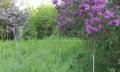 Продава ПАРЦЕЛ, област Добрич, с. Изворово • 5700 € / 11148.23 лв. • 81680399 4 — Holmes.bg Продава ПАРЦЕЛ, област Добрич, с. Изворово • 5700 € / 11148.23 лв. • 81680399 4