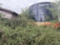 Продава ПРОМ. ПОМЕЩЕНИЕ, област Добрич, с. Дъбовик • 63920 € • 77645511 6 — Holmes.bg Продава ПРОМ. ПОМЕЩЕНИЕ, област Добрич, с. Дъбовик • 63920 € • 77645511 6