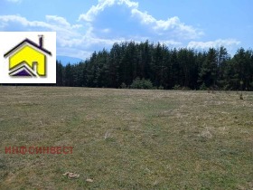 Продажба на земеделски земи в област Пазарджик - изображение 7 