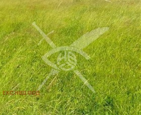 ПАРЦЕЛ, 557 m2 - Holmes.bg ПАРЦЕЛ, 557 m2