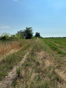 Продава Парцел, с. Брестник