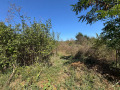 Продава ПАРЦЕЛ, област Бургас, с. Дюлево • 54900 € • 17509375 5 — Holmes.bg Продава ПАРЦЕЛ, област Бургас, с. Дюлево • 54900 € • 17509375 5