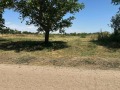 Продава ПАРЦЕЛ, област Варна, с. Климентово • 50000 € / 97791.50 лв. • 67004065 10 — Holmes.bg Продава ПАРЦЕЛ, област Варна, с. Климентово • 50000 € / 97791.50 лв. • 67004065 10