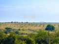 Продава ПАРЦЕЛ, област Варна, с. Климентово • 50000 € / 97791.50 лв. • 67004065 9 — Holmes.bg Продава ПАРЦЕЛ, област Варна, с. Климентово • 50000 € / 97791.50 лв. • 67004065 9