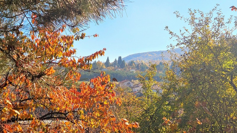 Продава ПАРЦЕЛ, град София, с. Мало Бучино • 155000 € / 303153.65 лв. • 58937441 1 — Holmes.bg Продава ПАРЦЕЛ, град София, с. Мало Бучино • 155000 € / 303153.65 лв. • 58937441 1