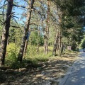 Продава ПАРЦЕЛ, област Пазарджик, яз. Батак • 33000 € • 17800730 4 — Holmes.bg Продава ПАРЦЕЛ, област Пазарджик, яз. Батак • 33000 € • 17800730 4