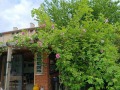 Продава КЪЩА, област Бургас, с. Веселие • 153000 € • 31361199 14 — Holmes.bg Продава КЪЩА, област Бургас, с. Веселие • 153000 € • 31361199 14