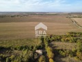 Продава ПАРЦЕЛ, област Варна, с. Калоян • 19500 € • 44768588 2 — Holmes.bg Продава ПАРЦЕЛ, област Варна, с. Калоян • 19500 € • 44768588 2