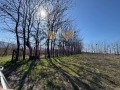 Продава ПАРЦЕЛ, град Пловдив, Беломорски • 602080 € / 1177566.13 лв. • 50328548 2 — Holmes.bg Продава ПАРЦЕЛ, град Пловдив, Беломорски • 602080 € / 1177566.13 лв. • 50328548 2