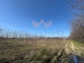 Продава ПАРЦЕЛ, град Пловдив, Беломорски • 602080 € / 1177566.13 лв. • 50328548 1 — Holmes.bg Продава ПАРЦЕЛ, град Пловдив, Беломорски • 602080 € / 1177566.13 лв. • 50328548 1