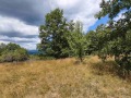 Продава Парцел област София , с. Дреново , 916 кв.м | 10111488 — Imoti.com Продава Парцел област София , с. Дреново , 916 кв.м | 10111488