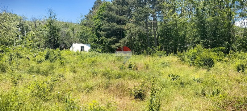 Продава ПАРЦЕЛ, град Варна, Изгрев • 155000 € / 303153.65 лв. • 32514725 1 — Holmes.bg Продава ПАРЦЕЛ, град Варна, Изгрев • 155000 € / 303153.65 лв. • 32514725 1