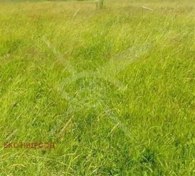 ПАРЦЕЛ, 30 000 m2 - Holmes.bg ПАРЦЕЛ, 30 000 m2