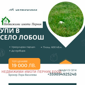 Продажба на имоти в с. Лобош, област Перник - изображение 5 