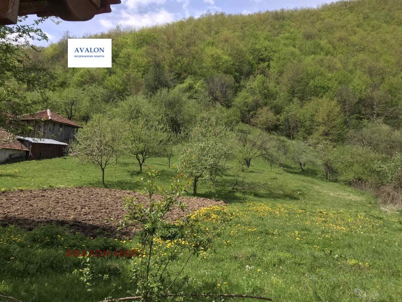 Продава ПАРЦЕЛ, област Ловеч, с. Черни Вит • 17500 € • 52038884 1 — Holmes.bg Продава ПАРЦЕЛ, област Ловеч, с. Черни Вит • 17500 € • 52038884 1