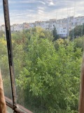 Продава 2-СТАЕН, град София, Света Троица • 130000 € / 254257.90 лв. • 90771869 8 — Holmes.bg Продава 2-СТАЕН, град София, Света Троица • 130000 € / 254257.90 лв. • 90771869 8