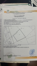 Продава ПАРЦЕЛ, м-т Цигов чарк, област Пазарджик, снимка 1 — Bazar.bg Продава ПАРЦЕЛ, м-т Цигов чарк, област Пазарджик, снимка 1