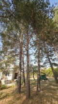Продава КЪЩА, област Перник, с. Негованци • 95500 € • 68226985 6 — Holmes.bg Продава КЪЩА, област Перник, с. Негованци • 95500 € • 68226985 6
