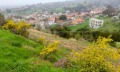 Продава ПАРЦЕЛ, Гърция, Халкидики • 350000 € / 684540.50 лв. • 21219514 11 — Holmes.bg Продава ПАРЦЕЛ, Гърция, Халкидики • 350000 € / 684540.50 лв. • 21219514 11