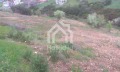 Продава ПАРЦЕЛ, Гърция, Халкидики • 350000 € / 684540.50 лв. • 21219514 5 — Holmes.bg Продава ПАРЦЕЛ, Гърция, Халкидики • 350000 € / 684540.50 лв. • 21219514 5