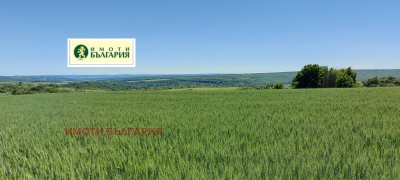Продава ПАРЦЕЛ, област Варна, с. Здравец • 550000 € / 1075706.50 лв. • 42846755 1 — Holmes.bg Продава ПАРЦЕЛ, област Варна, с. Здравец • 550000 € / 1075706.50 лв. • 42846755 1