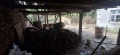 Продава КЪЩА, с. Борима, област Ловеч, снимка 3 — Bazar.bg Продава КЪЩА, с. Борима, област Ловеч, снимка 3