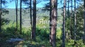 Продава ПАРЦЕЛ, област София, с. Владо Тричков • 12000 € / 23469.96 лв. • 31018541 7 — Holmes.bg Продава ПАРЦЕЛ, област София, с. Владо Тричков • 12000 € / 23469.96 лв. • 31018541 7