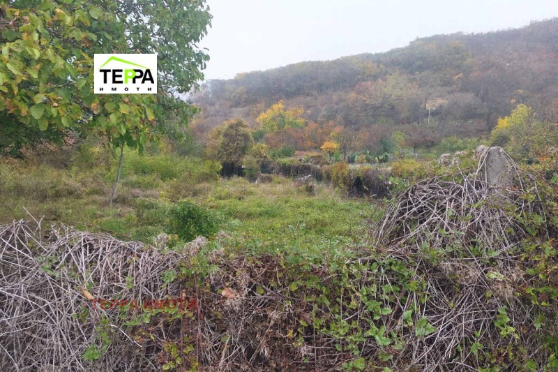 Продава ПАРЦЕЛ, област Стара Загора, с. Оряховица • 31000 € / 60630.73 лв. • 75878642 1 — Holmes.bg Продава ПАРЦЕЛ, област Стара Загора, с. Оряховица • 31000 € / 60630.73 лв. • 75878642 1