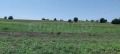 Продава ПАРЦЕЛ, Гърция, Халкидики • 225000 € / 440061.75 лв. • 67251722 6 — Holmes.bg Продава ПАРЦЕЛ, Гърция, Халкидики • 225000 € / 440061.75 лв. • 67251722 6