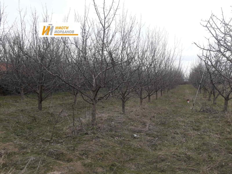 Продава ПАРЦЕЛ, област Габрово, с. Маноя • 26000 € / 50851.58 лв. • 56346892 1 — Holmes.bg Продава ПАРЦЕЛ, област Габрово, с. Маноя • 26000 € / 50851.58 лв. • 56346892 1