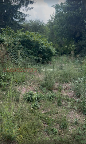 Обява Продава ПАРЦЕЛ,град София, в.з.Симеоново - Драгалевци