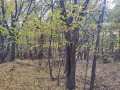 Продава ПАРЦЕЛ, област Перник, с. Боснек • 303366 € • 29455669 10 — Holmes.bg Продава ПАРЦЕЛ, област Перник, с. Боснек • 303366 € • 29455669 10