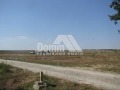Продава ПАРЦЕЛ, област Варна, с. Приселци • 21100 € / 41268.01 лв. • 37436158 2 — Holmes.bg Продава ПАРЦЕЛ, област Варна, с. Приселци • 21100 € / 41268.01 лв. • 37436158 2