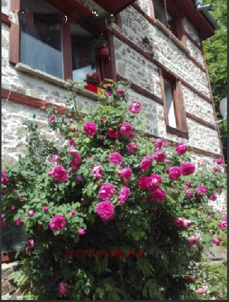 Продава КЪЩА, област Смолян, гр. Чепеларе • 58800 € / 115002.80 лв. • 27732826 1 — Holmes.bg Продава КЪЩА, област Смолян, гр. Чепеларе • 58800 € / 115002.80 лв. • 27732826 1